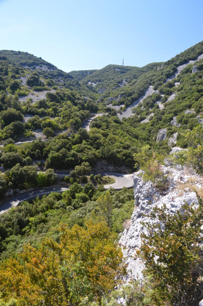 41198965605_ab5dc0c97b_o (1)