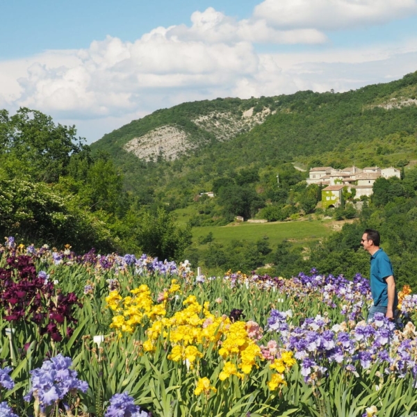 41535006054_d83e918026_k_600x600_acf_cropped