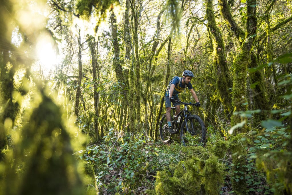 Ravin de Bardalène - Saint-Montan, le 21 novembre 2020.