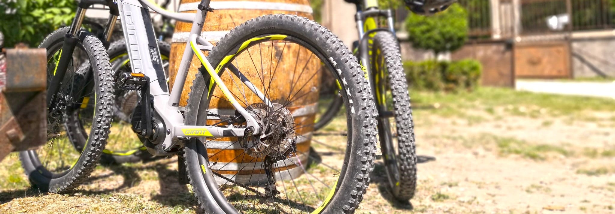 47924463953_788f889bd9_o-scaled_2048x713_acf_cropped