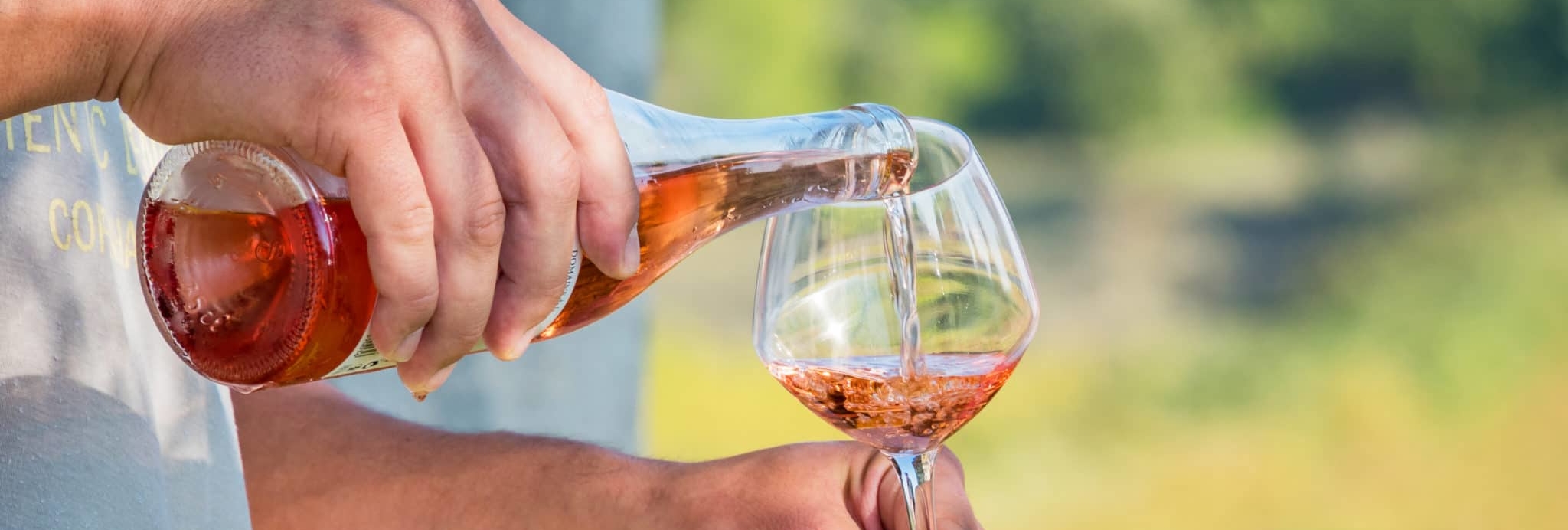 DSC_6211-1-scaled_2048x692_acf_cropped