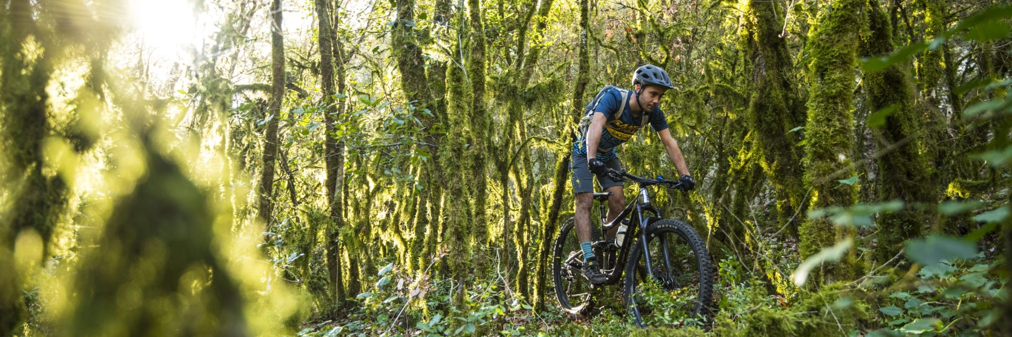 MD20_08375-scaled_2048x683_acf_cropped