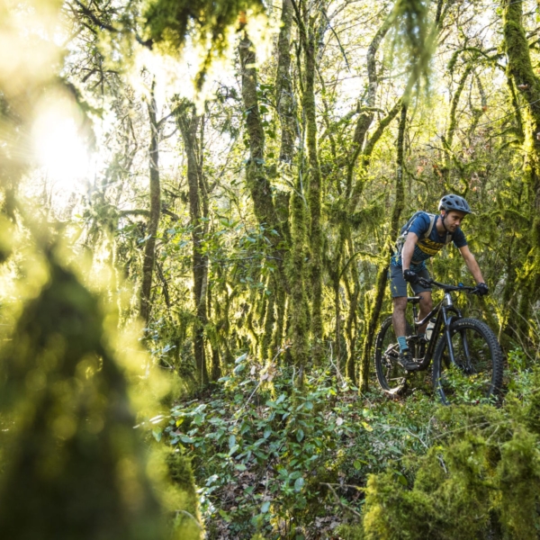 MD20_08375-scaled_600x600_acf_cropped