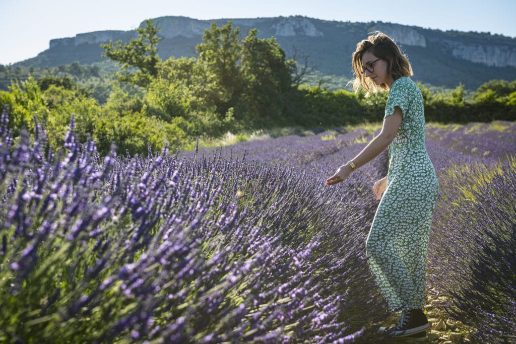 champs lavande gras dent de rez ardeche