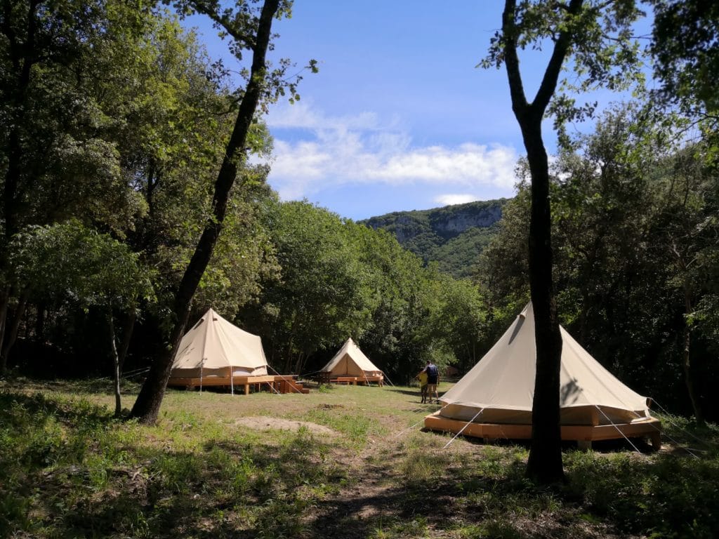 50032069908_cd97f80205_o