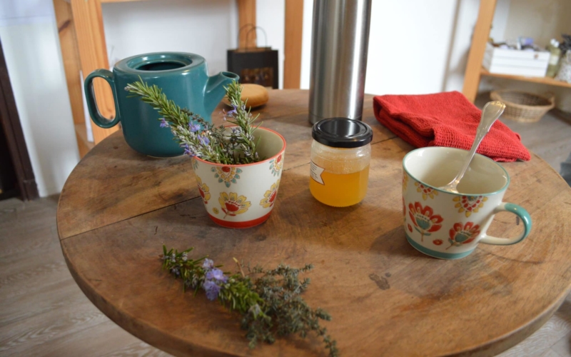 DSC_0007-scaled_800x500_acf_cropped