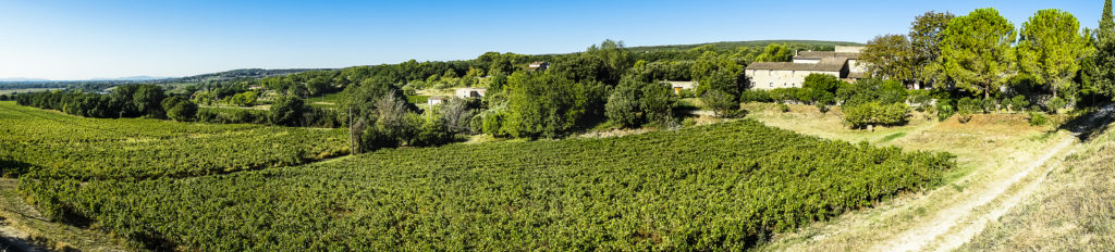 cousignac_BD_sbaur-21