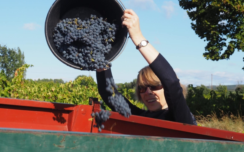 50398662047_51758fcaeb_o-scaled_800x500_acf_cropped