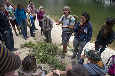 plantes et utilisations