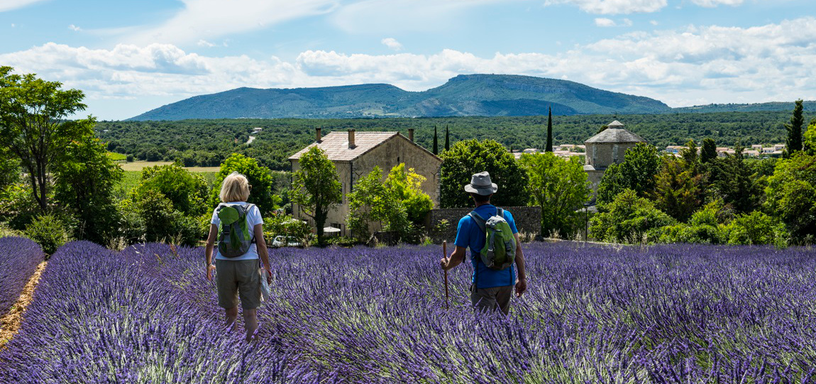 Larnas, le 19 juin 2020.
